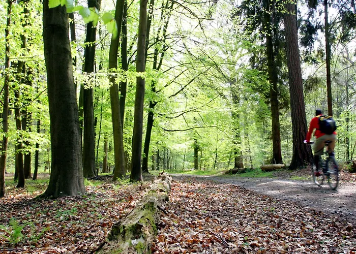 Dolce Brussels La Hulpe