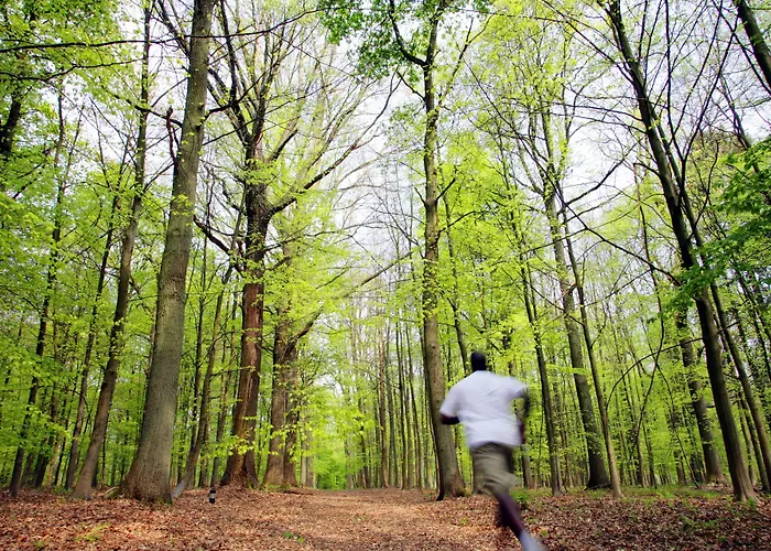 Dolce Brussels Hotel 4*